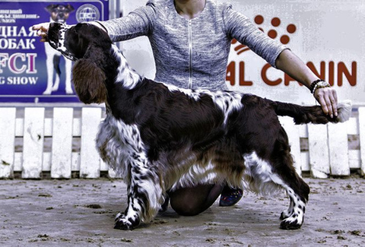 194947-1035b-106819683-m750x740-u99736.j