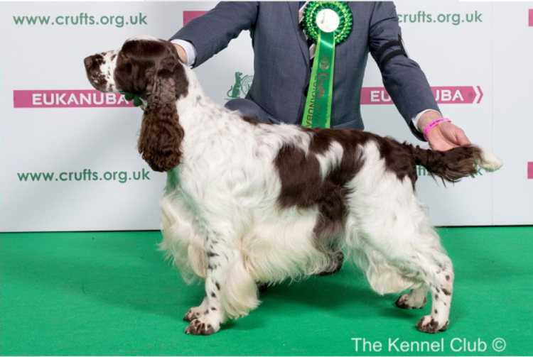 194947-91b04-106636075-m750x740-ufd8ce.j